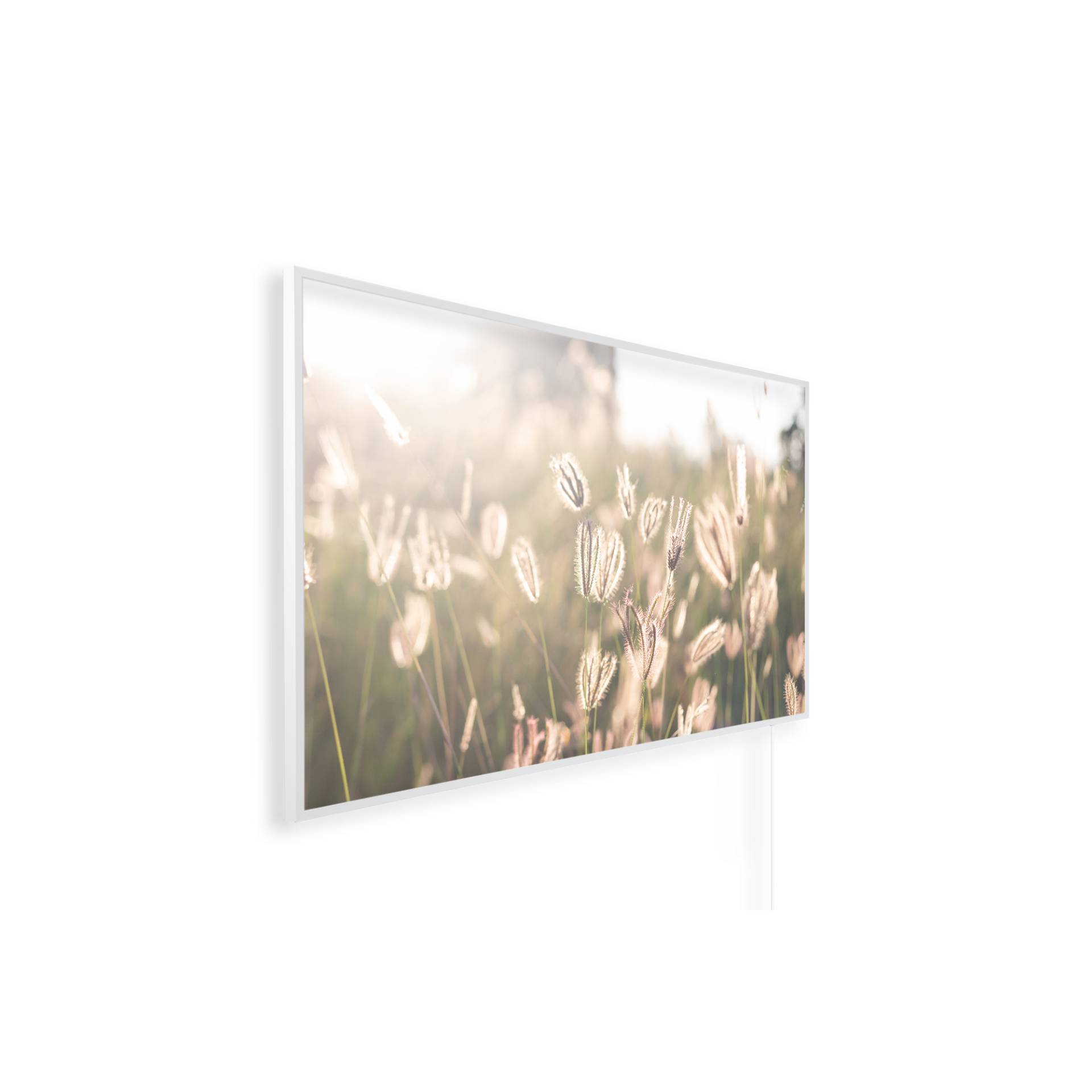Könighaus Infrarot-Wandheizung 'Ambienteline' Gräser 800 W 60 x 100 cm von Könighaus