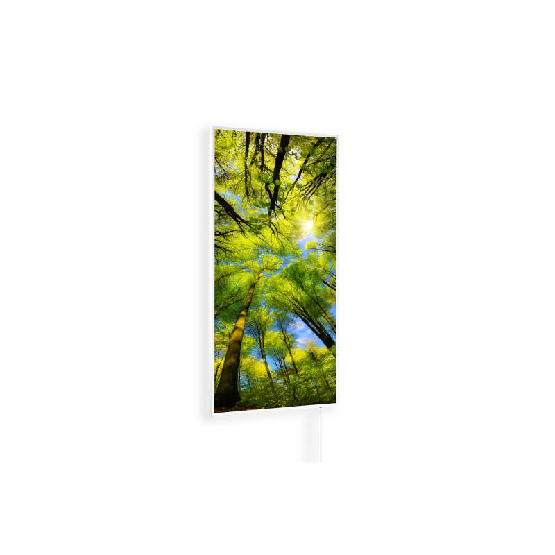 Könighaus Infrarot-Wandheizung 'Ambienteline' Sonnenlicht 800 W 60 x 100 cm von Könighaus