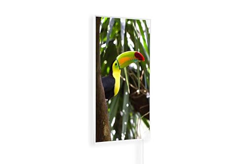 Könighaus Infrarotheizung – 4 Jahreszeiten – TÜV SÜD - 600 Watt + Könighaus Thermostat - Weißer Rahmen (Sommer Motiv: 04. Vogel) von Könighaus