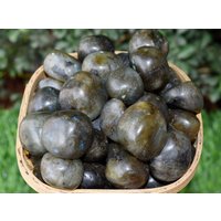 Labradorit Trommelsteine Heilkristalle, Edelstein Natürliche in Packungsgrößen Von 4 Unzen, 1/2 Pfund Und 1 Roh von KomalCrystals