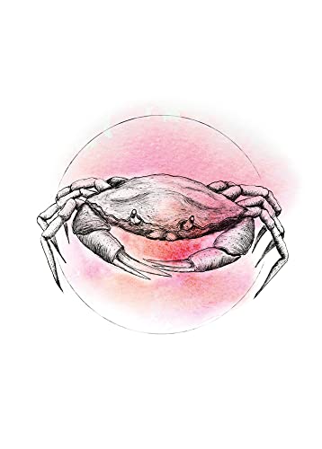 Komar Crab Watercolor - Größe: 50 x 70 cm, Wandbild, Poster, Kunstdruck (ohne Rahmen), PURE Boutique von Komar