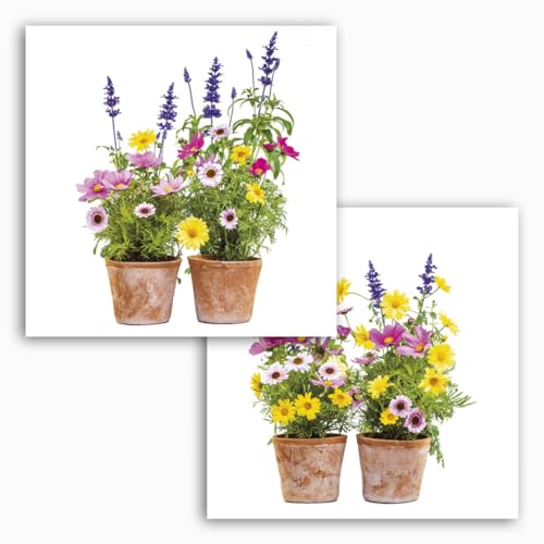 Fenstersticker Blumen im Topf, selbsthaftend und wiederverwendbar, 2 Bogen in der Größe 31 x 31 cm, Fensterfolie, Fensterdekoration, Fensterbild, Fensteraufkleber, Blumentopf, Glasscheibe Fenstersticker Blumen im Topf, selbsthaftend und wiederverwendbar, 2 Bogen in der Größe 31 x 31 cm, Fensterfolie, Fensterdekoration, Fensterbild, Fensteraufkleber, Blumentopf, Glasscheibe von Komar