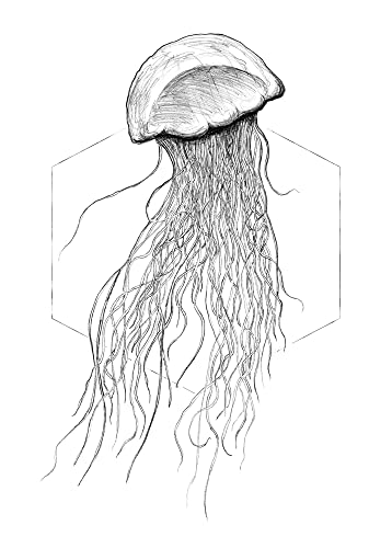 Komar Jellyfish White - Größe: 50 x 70 cm, Wandbild, Poster, Kunstdruck (ohne Rahmen), PURE Boutique von Komar
