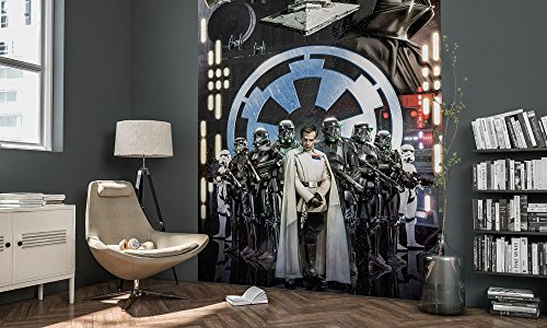 Komar Star Wars Vlies Fototapete EMPIRE | 200 x 275 cm | Tapete, Wand Dekoration, Todesstern, Sturmtruppler, Kinderzimmer | 009-DVD2 von Komar
