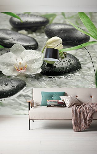 Komar Vlies Fototapete PURE | 300 x 250 cm | Tapete, Wand Dekoration, Blumen, Orchideen, Wellness, Stein, Fluss, Schlafzimmer, Wohnzimmer | 319-DV3 von Komar