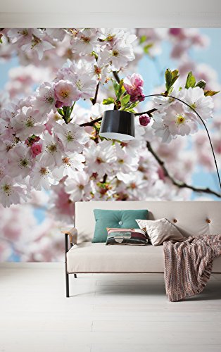 Komar Vlies Fototapete SPRING | 300x250 cm | Tapete, Wand Dekoration, Kirschblüten, Blumen, Hanami, Frühling, Schlafzimmer, Wohnzimmer | 507-DV3 von Komar