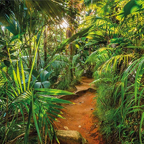 Komar Fototapete | JUNGLE TRAIL | 368 x 254 cm | Tapete, Wand Dekoration, Urwald, Dschungel, Tropen, Landschaft, Regenwald, Wohnzimmer, Schlafzimmer | 8-992 von Komar