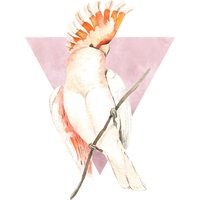 Komar Bild "Cute Cacadoo", Natur, (1 St.), Wandbild zur Dekoration - ohne Rahmen von Komar