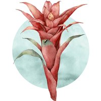 Komar Bild "Funky Flower" Natur 1 Stk. tlg. Wandbild zur Dekoration - ohne Rahmen Komar Bild "Funky Flower" Natur 1 Stk. tlg. Wandbild zur Dekoration - ohne Rahmen von Komar