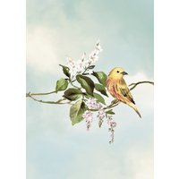Komar Bild "Gazouillis des Oiseaux", Natur, (1 St.), Wandbild zur Dekoration - ohne Rahmen von Komar