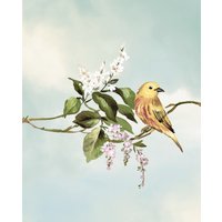 Komar Bild "Gazouillis des Oiseaux", Natur, (1 St.), Wandbild zur Dekoration - ohne Rahmen von Komar