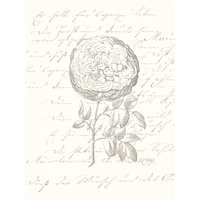 Komar Bild "Ma Chérie" Natur 1 Stk. tlg. Wandbild zur Dekoration - ohne Rahmen Komar Bild "Ma Chérie" Natur 1 Stk. tlg. Wandbild zur Dekoration - ohne Rahmen von Komar