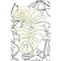 Komar Bild "Monstera Borsigiana", Natur, (1 St.), Wandbild zur Dekoration - ohne Rahmen von Komar