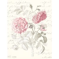 Komar Bild "Poème Rose", Natur, (1 St.), Wandbild zur Dekoration - ohne Rahmen von Komar