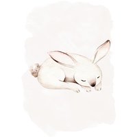 Komar Bild "Sleepy Bunny", Natur, (1 St.), Wandbild zur Dekoration - ohne Rahmen von Komar
