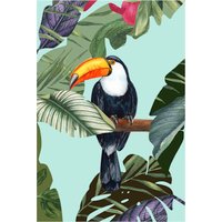 Komar Bild "Toco Toucan", Natur, (1 St.), Wandbild zur Dekoration - ohne Rahmen von Komar