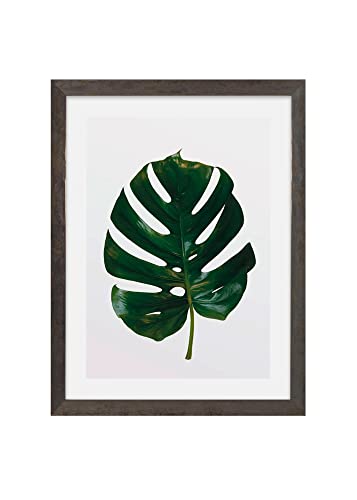 Komar Bilderrahmen Holz Stone Grey mit Art Poster Monstera Leaf als Set - Größe: 30x40 cm - Wandbild, Dekoration, Pflanze von Komar