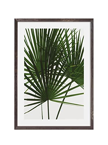 Komar Bilderrahmen Holz Stone Grey mit Art Poster Palmtree Leaves als Set - Größe: 50x70 cm - Wandbild, Dekoration, Palme, Blätter von Komar