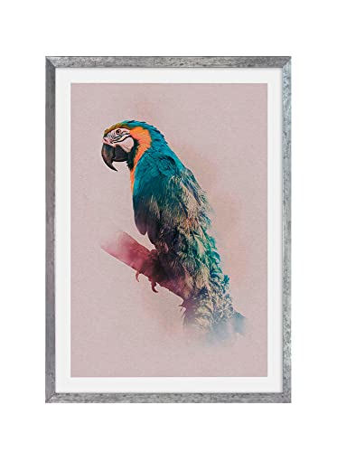 Komar Bilderrahmen Holz Stone Silver mit Art Poster Animals Paradise Parrot als Set - Größe: 50x70 cm - Wandbild, Dekoration, Papagei, Vogel von Komar