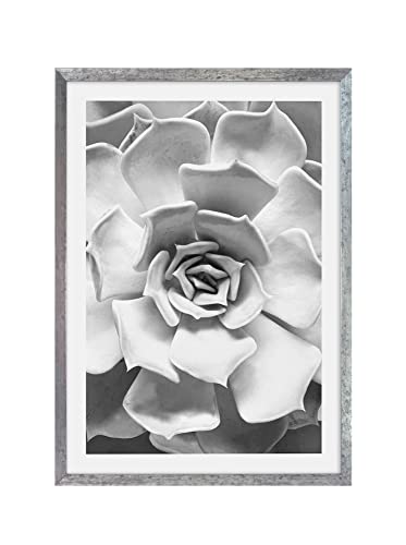 Komar Bilderrahmen Holz Stone Silver mit Art Poster Succulent Closeup als Set - Größe: 50x70 cm - Wandbild, Dekoration, Blume, schwrz weiß von Komar