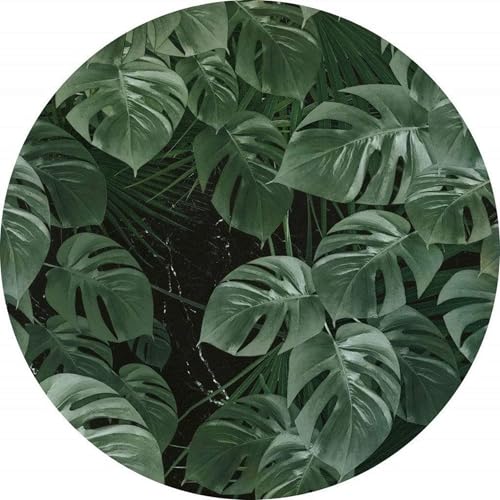 Komar DOT runde und selbstklebende Vlies Fototapete Novel Monstera - Ø Durchmesser 125 cm - 1 Stück - Tapete, Dekoration, Wandtapete, Wandbild, Wandbelag, Designtapete - D1-023 Komar DOT runde und selbstklebende Vlies Fototapete Novel Monstera - Ø Durchmesser 125 cm - 1 Stück - Tapete, Dekoration, Wandtapete, Wandbild, Wandbelag, Designtapete - D1-023 von Komar
