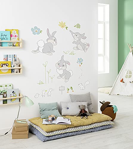 Komar Disney Wandtattoo Thumper in The Garden - 50 x 70 cm (Breite x Höhe) - 13 Teile - Klopfer, Bambi, Deco-Sticker, Wandaufkleber, Wandsticker, Wanddeko, Kinderzimmer - 14107h von Komar