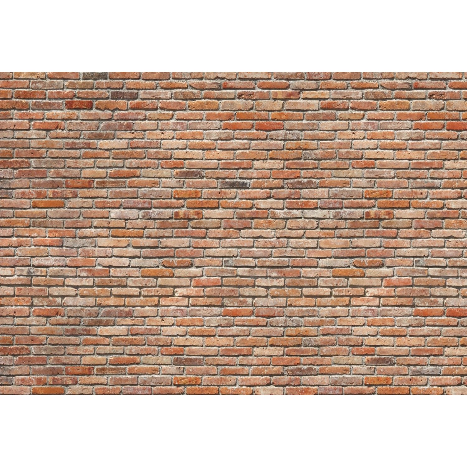 Komar Fototapete Backstein Orangebraun 368 x 254 cm 611004 Komar Fototapete Backstein Orangebraun 368 x 254 cm 611004 von Komar