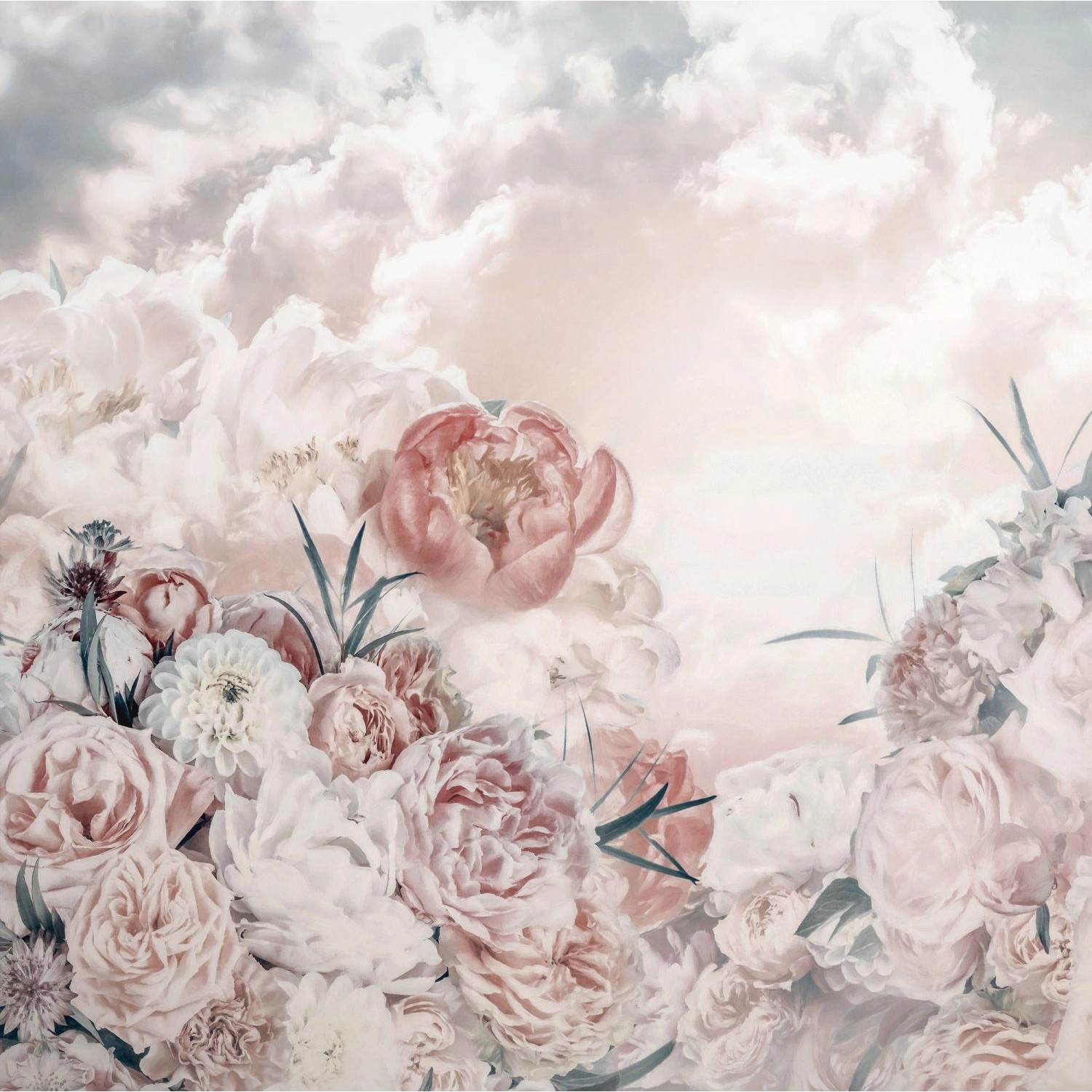 Komar Fototapete Blossom Clouds Rosa 250 x 250 cm 611196 Komar Fototapete Blossom Clouds Rosa 250 x 250 cm 611196 von Komar
