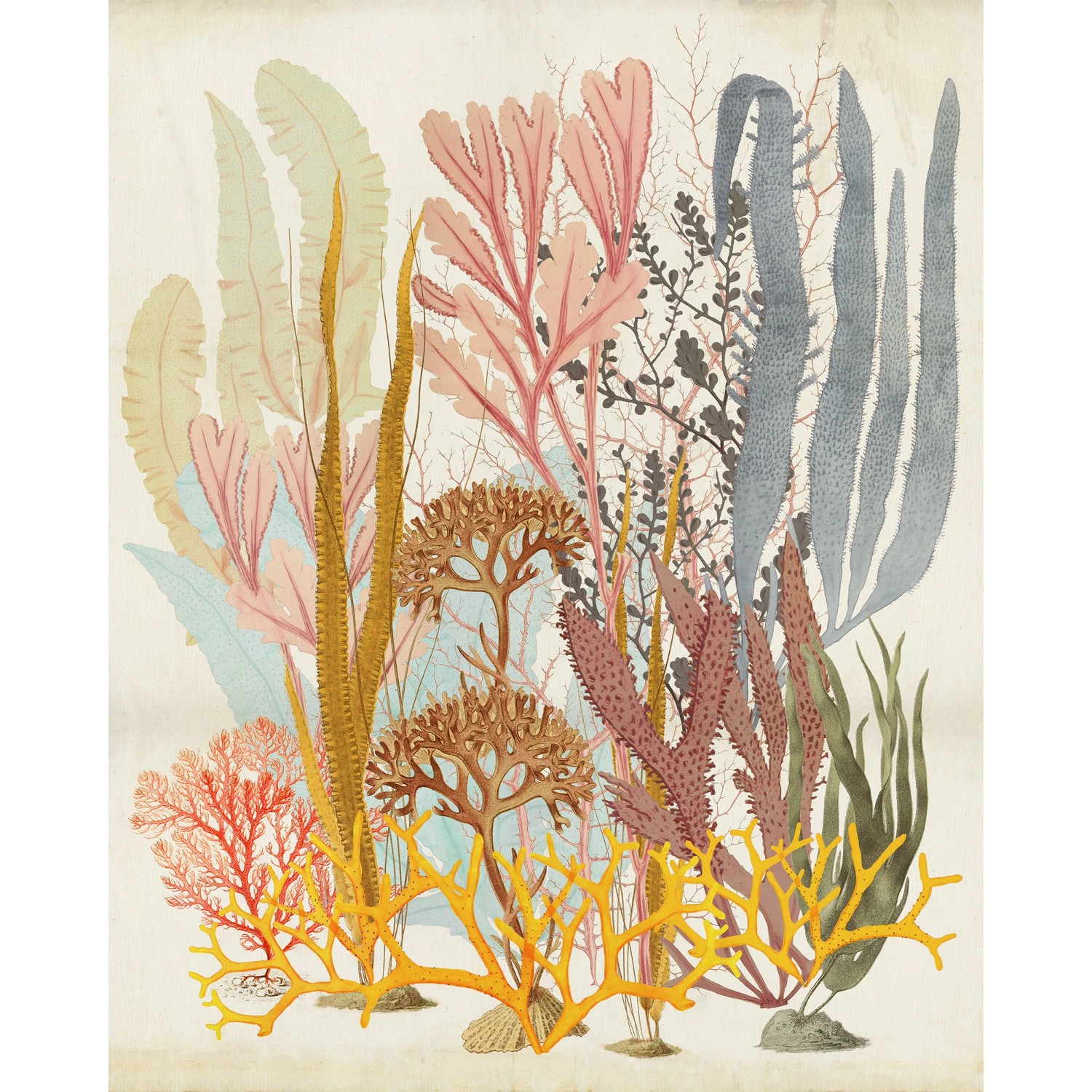 Komar Fototapete Catchy Corals 200 cm x 250 cm Komar Fototapete Catchy Corals 200 cm x 250 cm von Komar