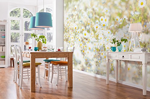 Komar Fototapete DAISIES | 368 x 254 cm | Tapete, Wand Dekoration, Blume, Blüten, Margeriten, Natur, Wiese, Schlafzimmer, Wohnzimmer | 8-994 Komar Fototapete DAISIES | 368 x 254 cm | Tapete, Wand Dekoration, Blume, Blüten, Margeriten, Natur, Wiese, Schlafzimmer, Wohnzimmer | 8-994 von Komar