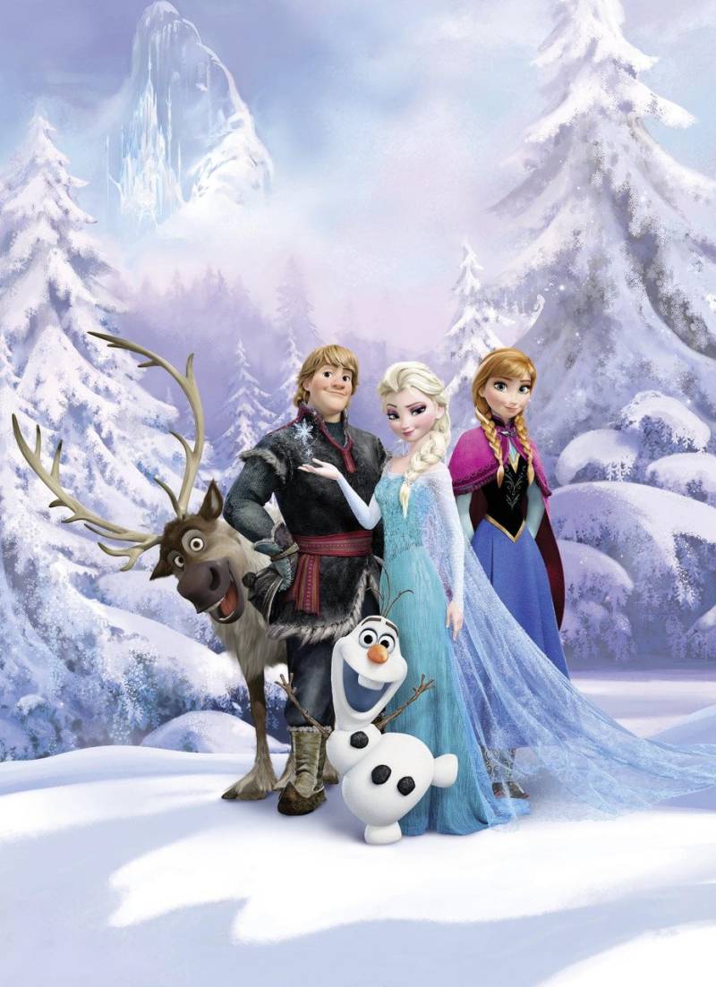 Komar Fototapete Frozen Winter Land 254 x 184 cm von Komar