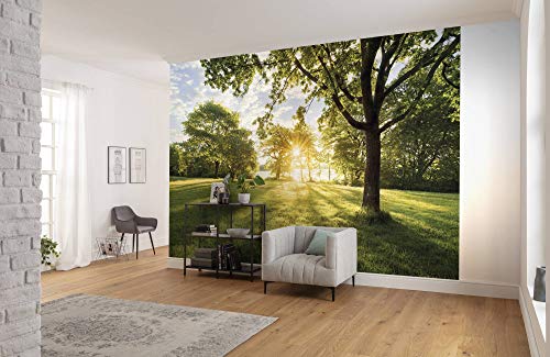 Komar Fototapete GOLDEN MOMENT - Größe 368 x 254 cm (Breite x Höhe) - Landschaft, Sonnenaufgang, Natur, Tapete, Wanddekoration, Schlafzimmer, Wohnzimmer - 8-743 von Komar