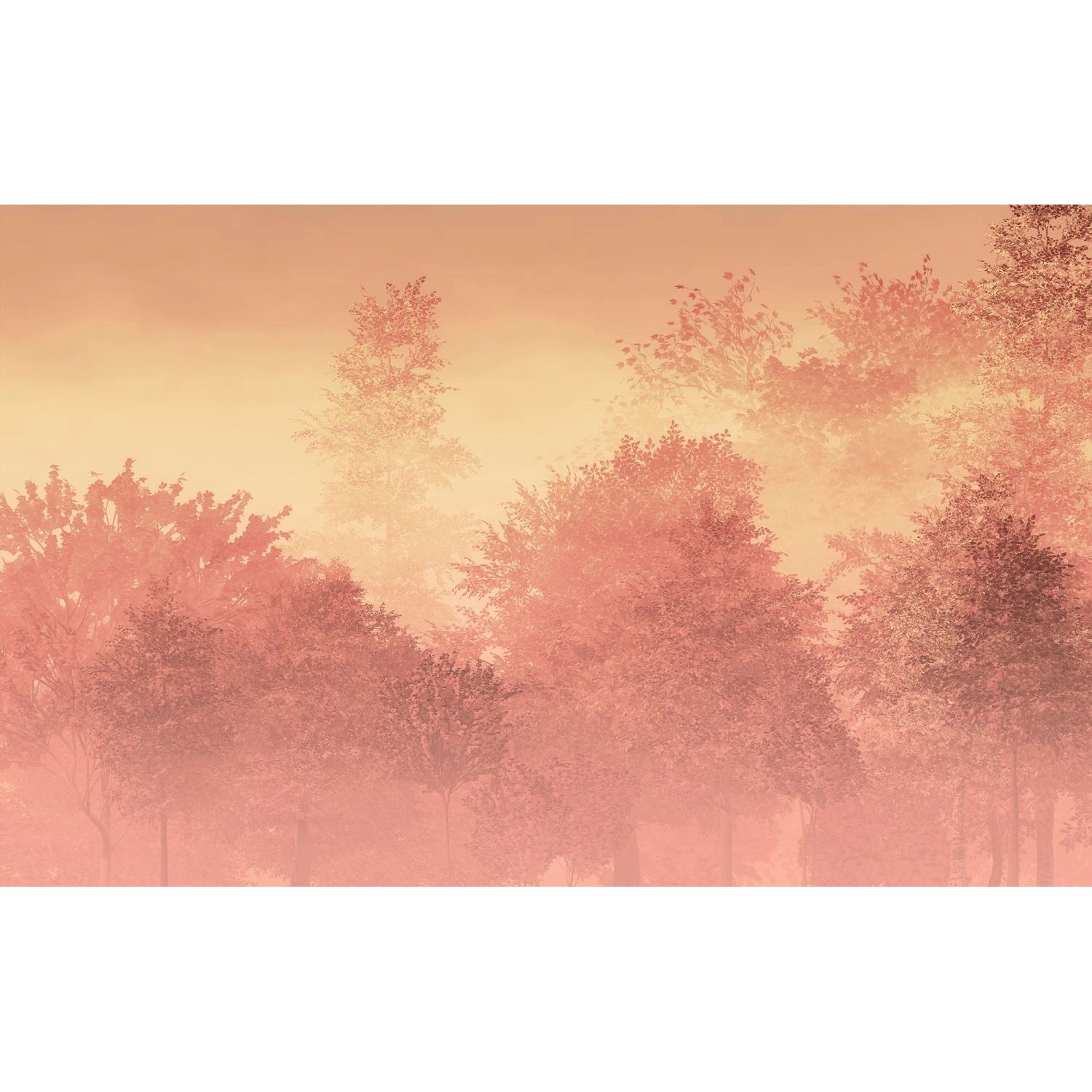 Komar Fototapete Heartwood Pfirsichorange Rosa 400 x 250 cm 611232 Komar Fototapete Heartwood Pfirsichorange Rosa 400 x 250 cm 611232 von Komar