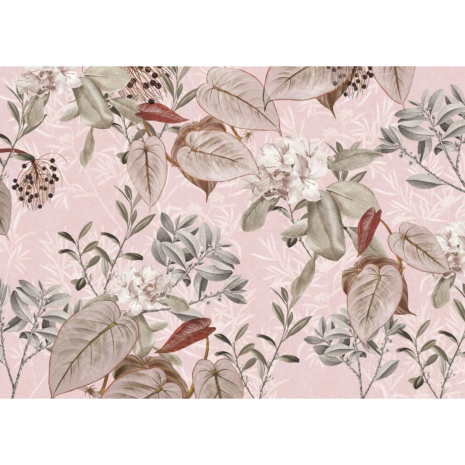 Komar Fototapete Kalina Rosa 350 x 250 cm 611647 Komar Fototapete Kalina Rosa 350 x 250 cm 611647 von Komar