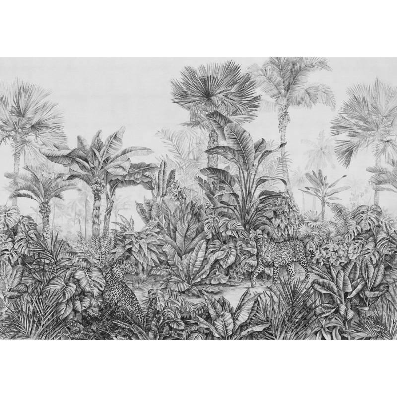 Komar Fototapete Léopards Schwarz-Weiß 350 x 250 cm 611212 von Komar