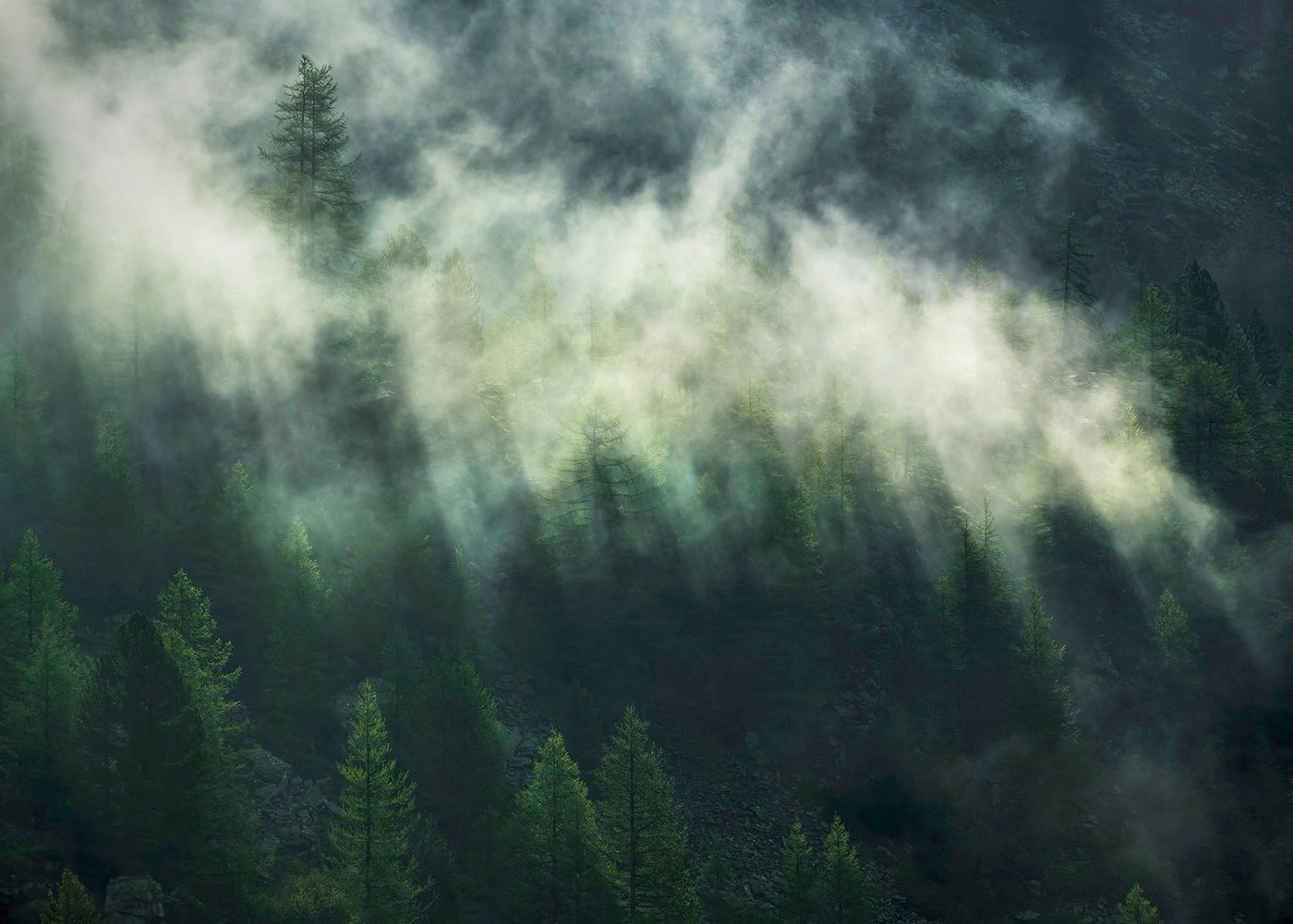 Komar Vliestapete Digitaldruck Vlies - Misty Crowns - Größe 350 x 250 cm, glatt, bedruckt, Wohnzimmer, Schlafzimmer Komar Vliestapete Digitaldruck Vlies - Misty Crowns - Größe 350 x 250 cm, glatt, bedruckt, Wohnzimmer, Schlafzimmer von Komar