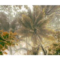 Komar Fototapete Palms Panorama B/L: ca. 300x250 cm Komar Fototapete Palms Panorama B/L: ca. 300x250 cm von Komar