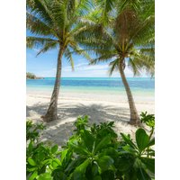 Komar Vliestapete "Palmy Beach" von Komar