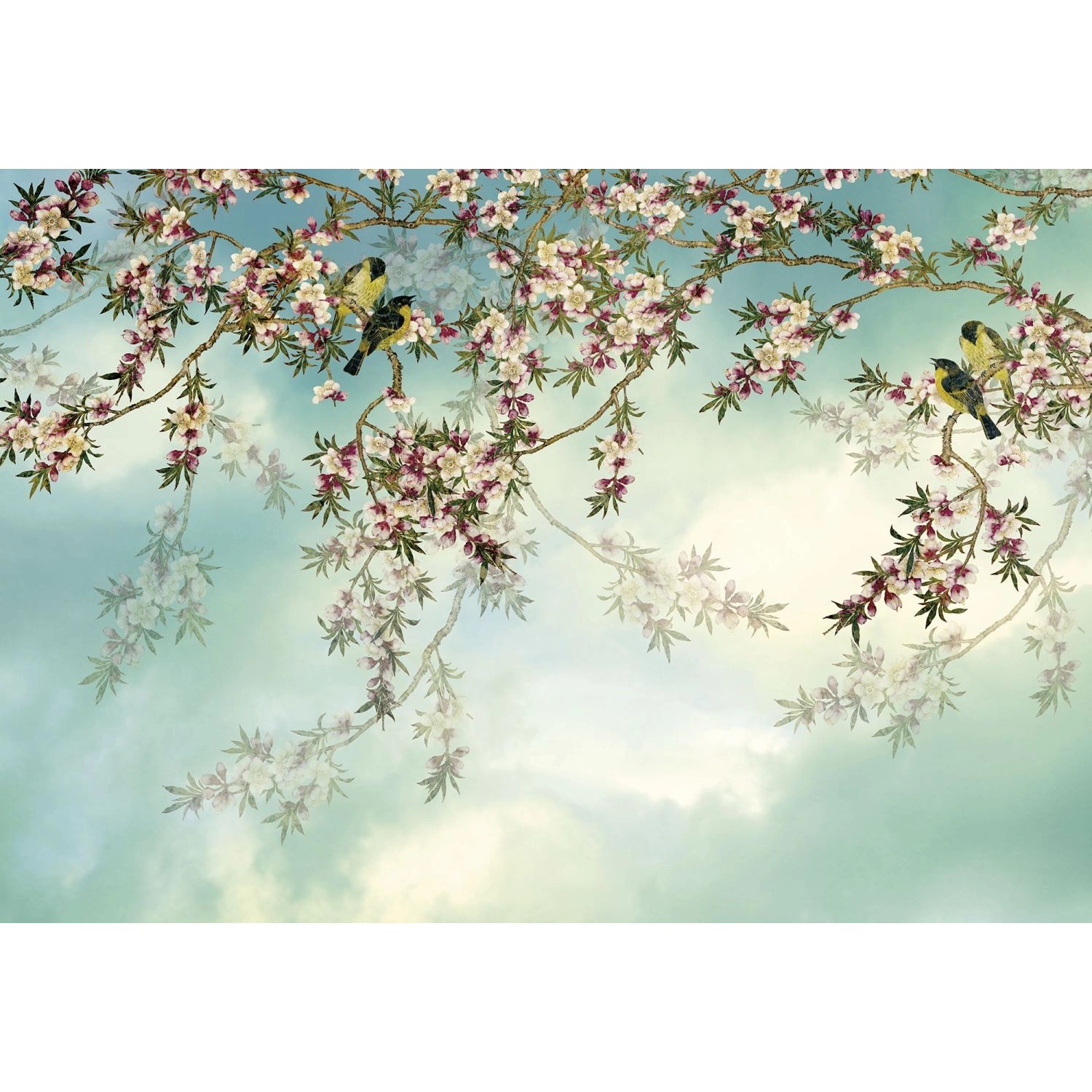 Komar Fototapete Sakura Blau und Rosa 368 x 254 cm 610936 von Komar