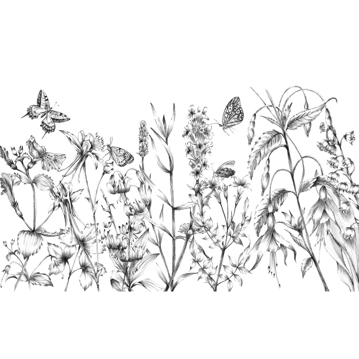 Komar Fototapete Schmetterlinge Schwarz-Weiß 400 x 250 cm 610031 von Komar