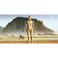 Komar Vliestapete "Star Wars Classic RMQ Droids" von Komar