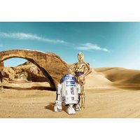 Komar Fototapete "Star Wars Lost Droids" von Komar