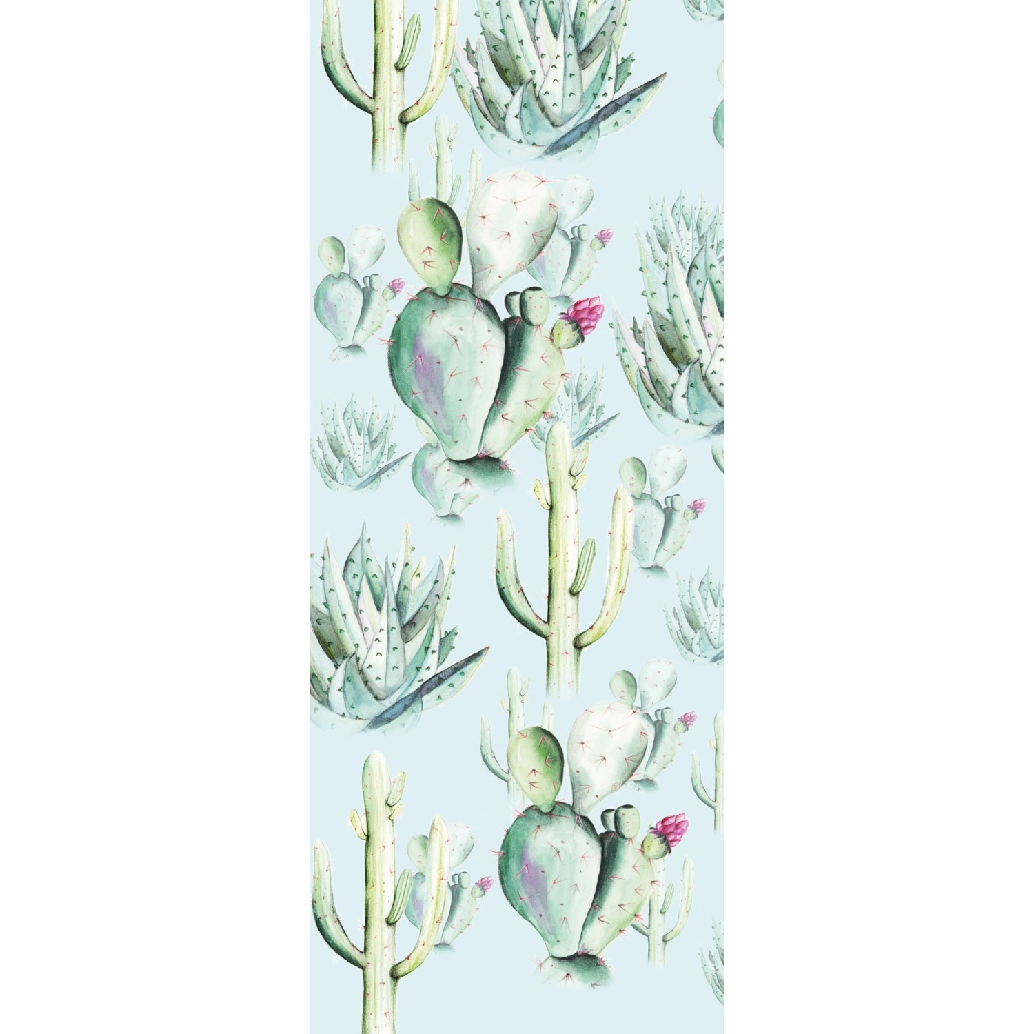 Komar Fototapete Vlies Cactus Blue Panel 100 x 250 cm 100 x 250 cm Komar Fototapete Vlies Cactus Blue Panel 100 x 250 cm 100 x 250 cm von Komar