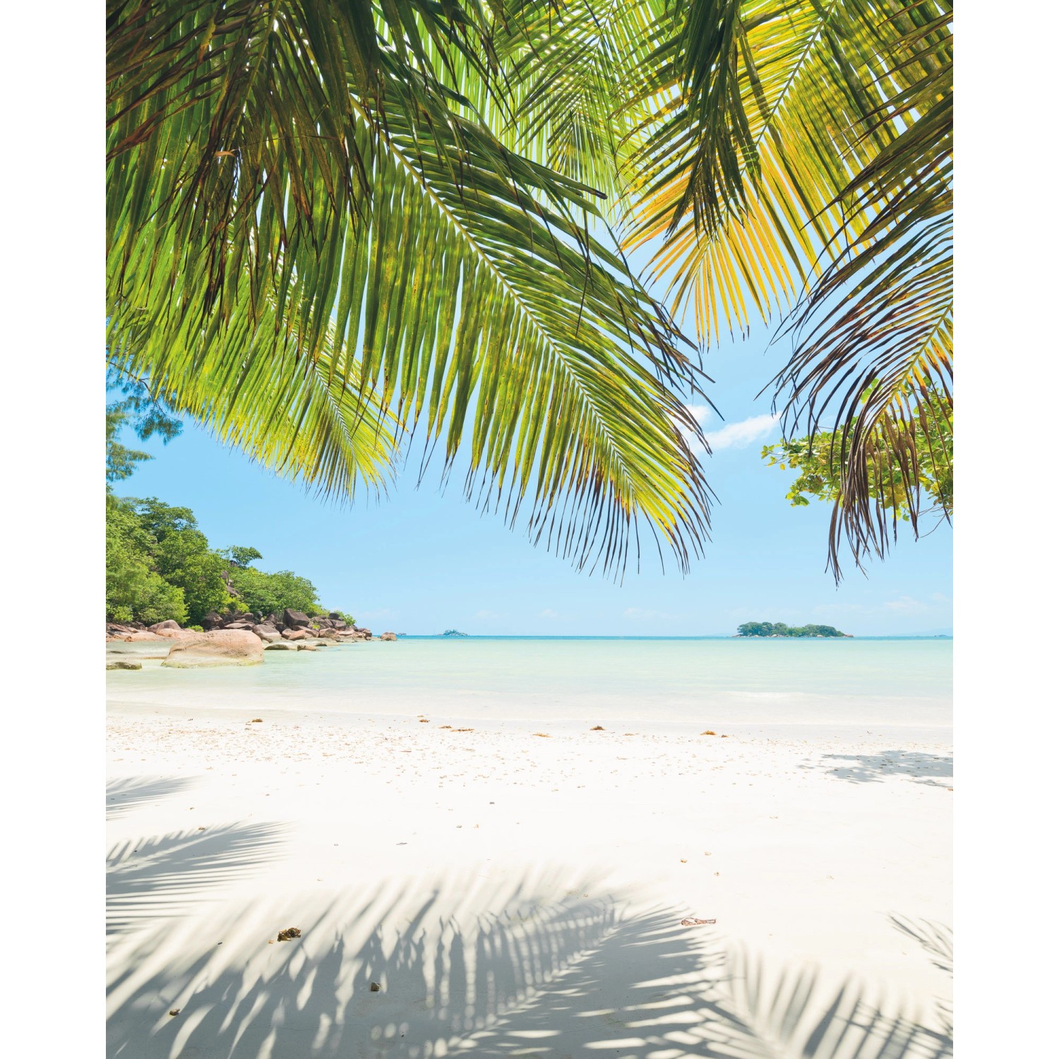 Komar Fototapete Vlies Under The Palmtree  200 x 250 cm von Komar