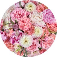 Komar Fototapete "Vlies selbstklebend - Beautiful Blossoms - Größe 125 x 125 cm", bedruckt, Wohnzimmer, Schlafzimmer Komar Fototapete "Vlies selbstklebend - Beautiful Blossoms - Größe 125 x 125 cm", bedruckt, Wohnzimmer, Schlafzimmer von Komar