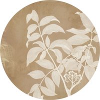 Komar Fototapete "Vlies selbstklebend - Blooming Branch - Größe 125 x 125 cm", bedruckt, Wohnzimmer, Schlafzimmer Komar Fototapete "Vlies selbstklebend - Blooming Branch - Größe 125 x 125 cm", bedruckt, Wohnzimmer, Schlafzimmer von Komar