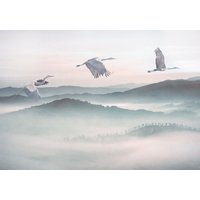 Komar Vliestapete "Mystic Cranes" von Komar
