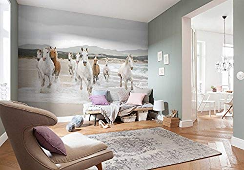 Komar Fototapete WHITE HORSES | 368 x 254 cm | Tapete, Wandgestaltung, Wandtapete, Mädchenzimmer, weiße Pferde, Pferde am Meer, Sandstrand | 8-986 Komar Fototapete WHITE HORSES | 368 x 254 cm | Tapete, Wandgestaltung, Wandtapete, Mädchenzimmer, weiße Pferde, Pferde am Meer, Sandstrand | 8-986 von Komar