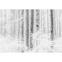 Komar Fototapete Winter Wood B/L: ca. 400x280 cm von Komar