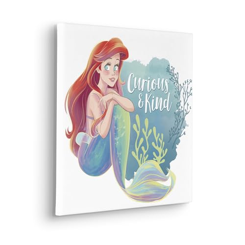 Komar Keilrahmenbild - Disney Ariel Curious & Kind - Größe: 40 x 40 cm - Kinderzimmer, Wanddekoration, Blau Komar Keilrahmenbild - Disney Ariel Curious & Kind - Größe: 40 x 40 cm - Kinderzimmer, Wanddekoration, Blau von Komar